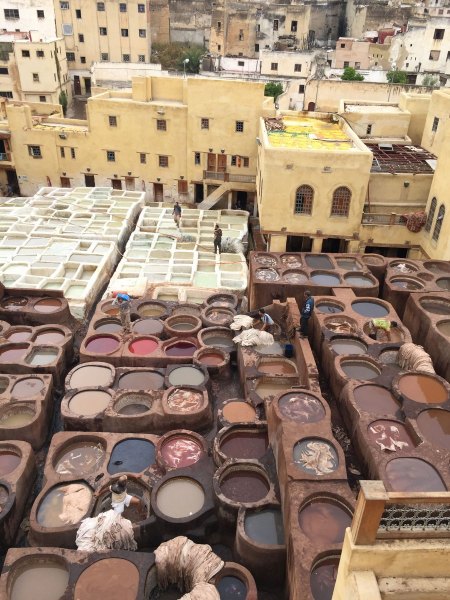 Chouara Leather tannery, Fes, Morocco
