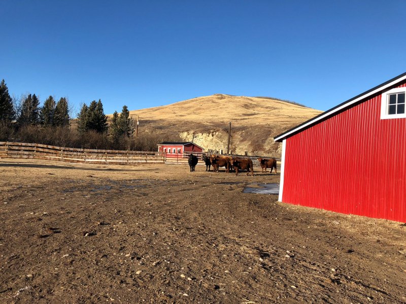 Wineglass Ranch, Alberta