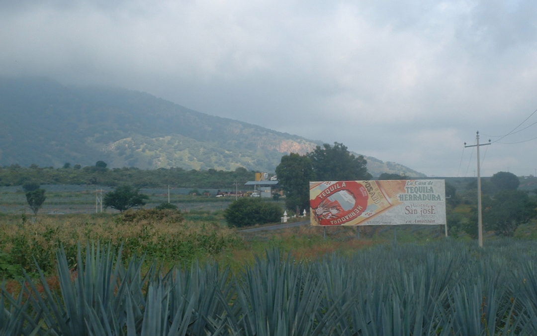 FOODSERVICE HOSPITALITY: Tequila Know-How